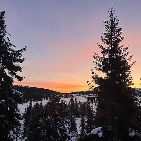 Ferienhaus Views, Cross-country Skiing, Sauna, Tub