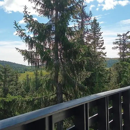 Ferienhaus Views, Cross-country Skiing, Sauna, Tub