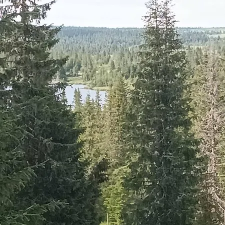 Views, Cross-country Skiing, Sauna, Tub Feriehus