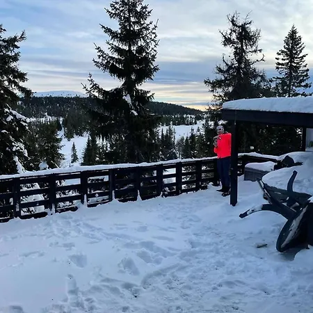 Views, Cross-country Skiing, Sauna, Tub Feriehus *